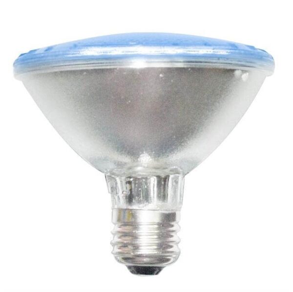 PAR30LEDAZ