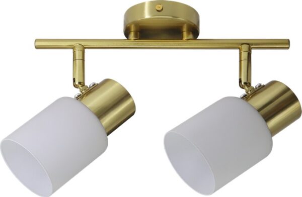 00873BR-2W