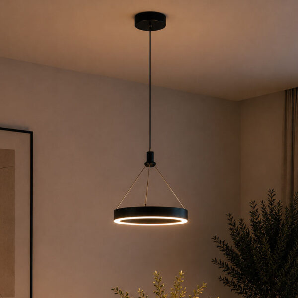 PENDANT DECORATIVE LAMP 10W LED 3000K  BLACK FINISHED