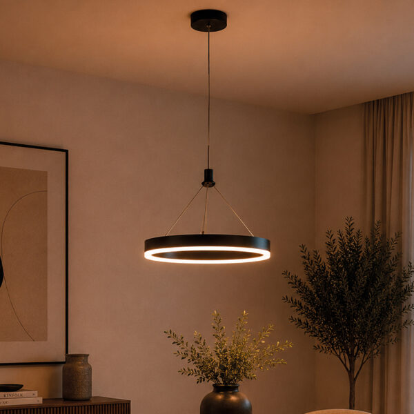 PENDANT DECORATIVE LAMP 16W LED CCT 3000K 4000K 6000K BLACK FINISHED